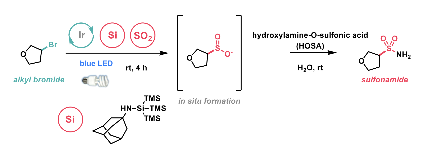 Sulfonamide formation from alkyl bromides