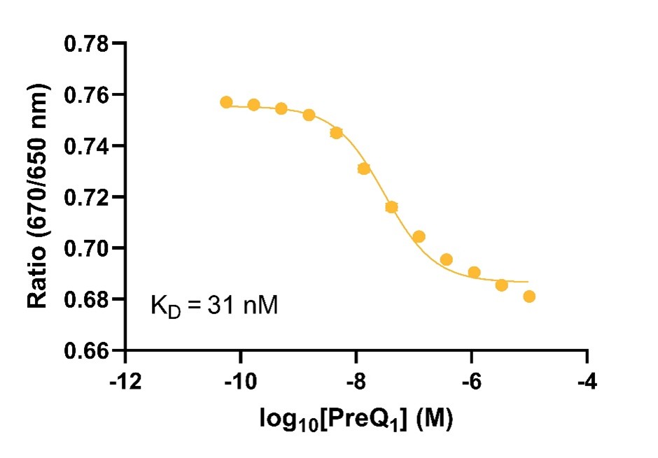 Spectral Shift - Small molecule binding to the Tte preQ1 riboswitch