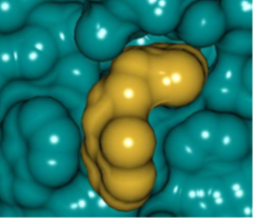 CADD support for Domainex's Fragment-based drug discovery