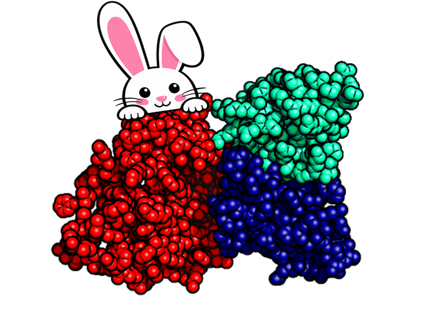 Hidden bunny antibody gif