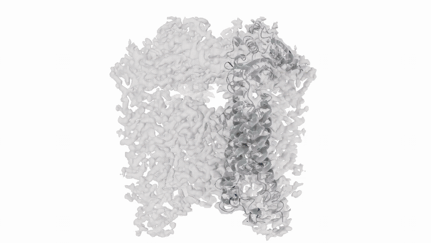 Domainex Cryo-EM structure of TRPML3 ion channel