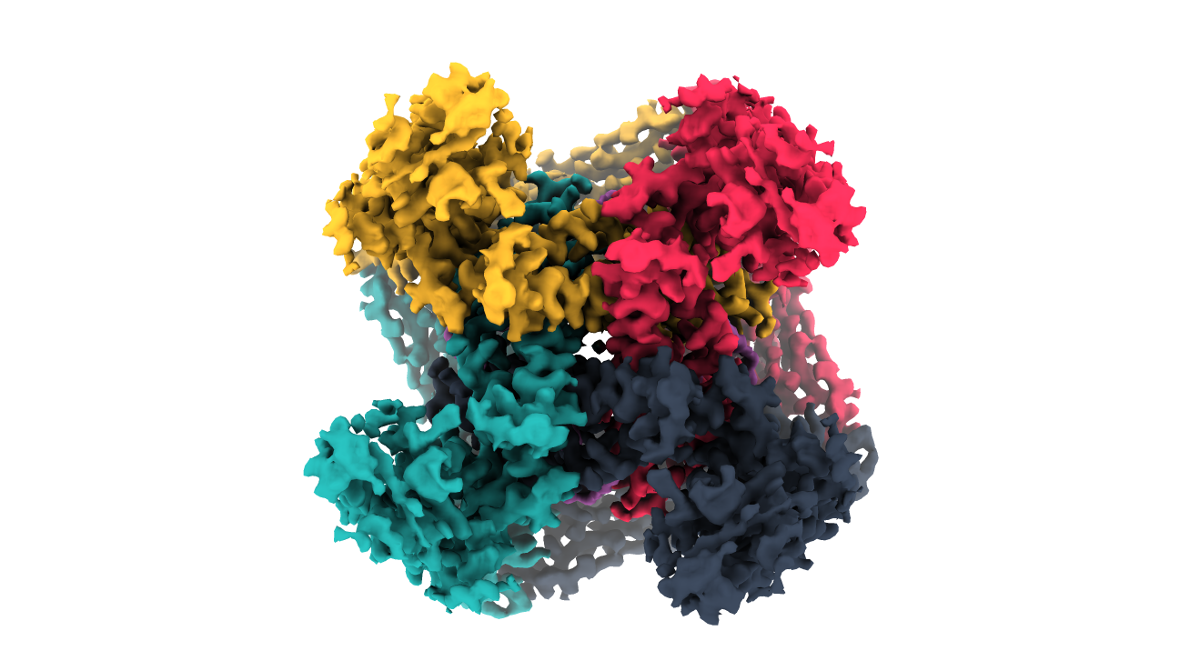 Domainex Cryo-EM structure of TRPML3 ion channel viewed from the bottom