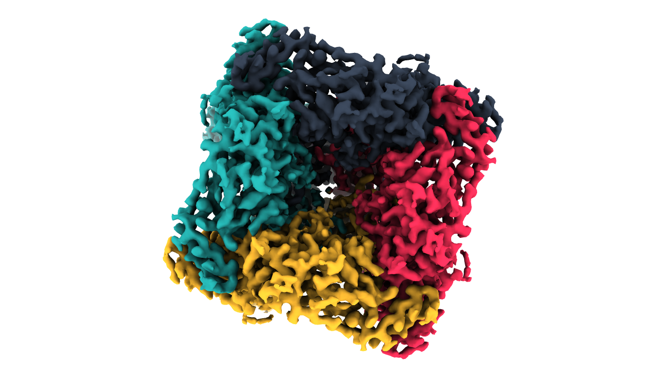 Domainex Cryo-EM structure of TRPML3 ion channel viewed from the top