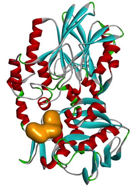 CD73 Case Study