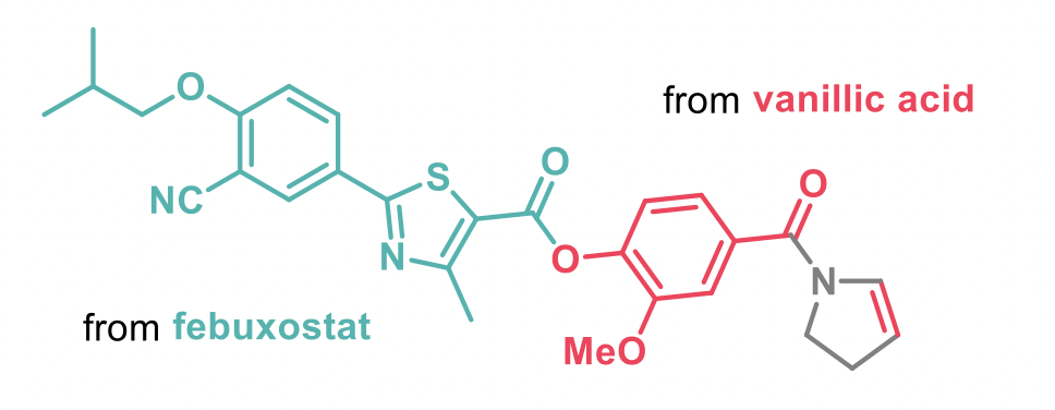 A functional-group heavy conjugate of vallinic acid