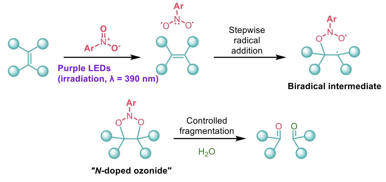 Photoexcited nitroarenes for the Oxidative Cleavage of Alkenes