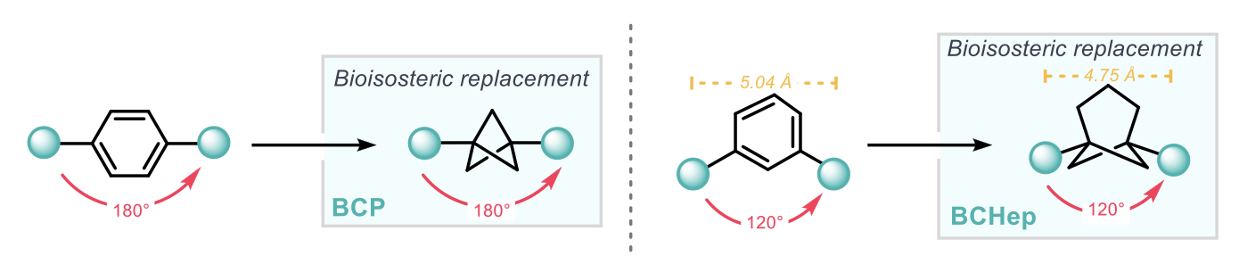 Bicycloheptanes as bioisosteres for meta-substituted benzenes