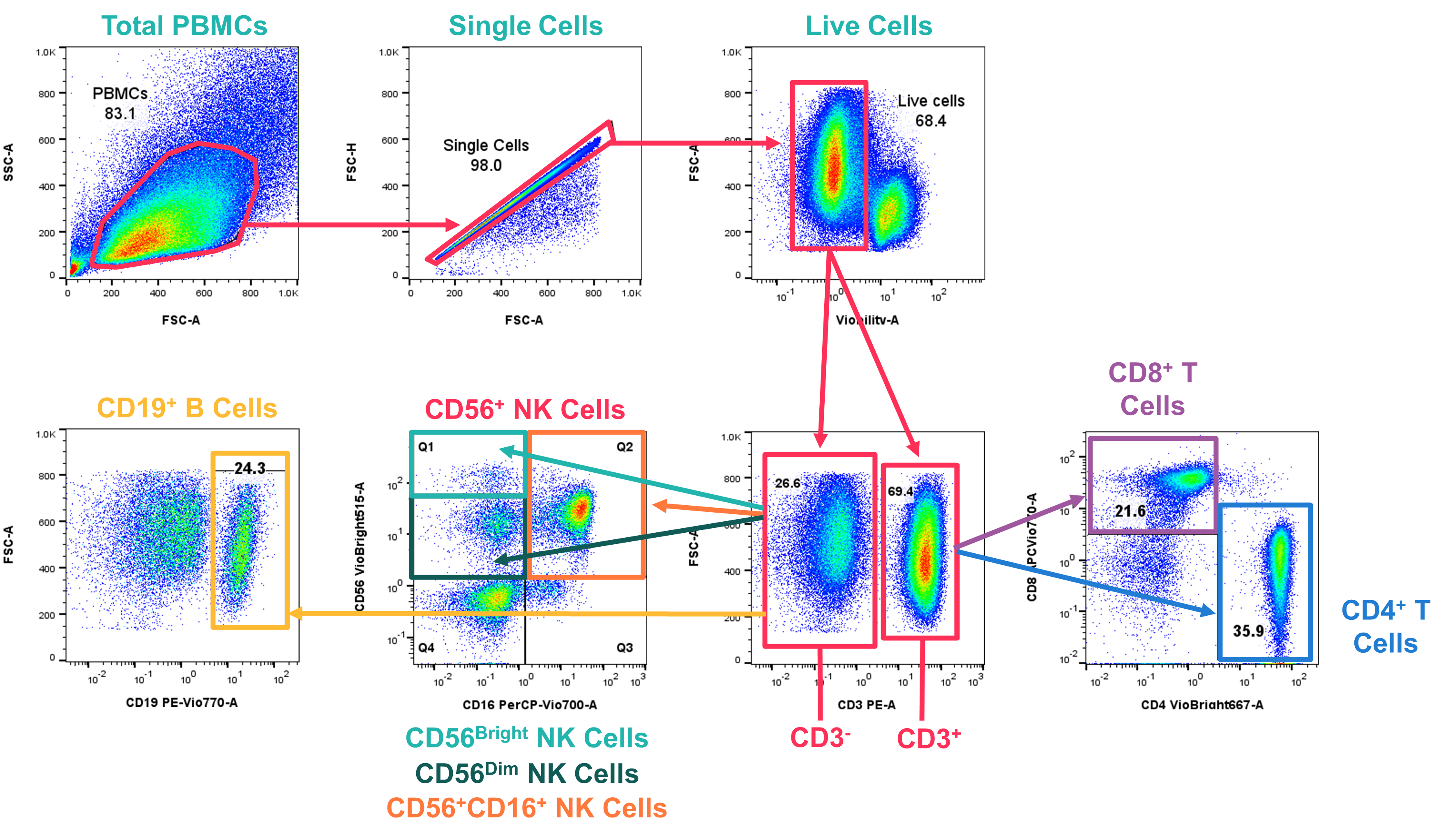 :  PBMCs were stained with an 8-parameter panel against cell lineage markers to identify different immunological subsets