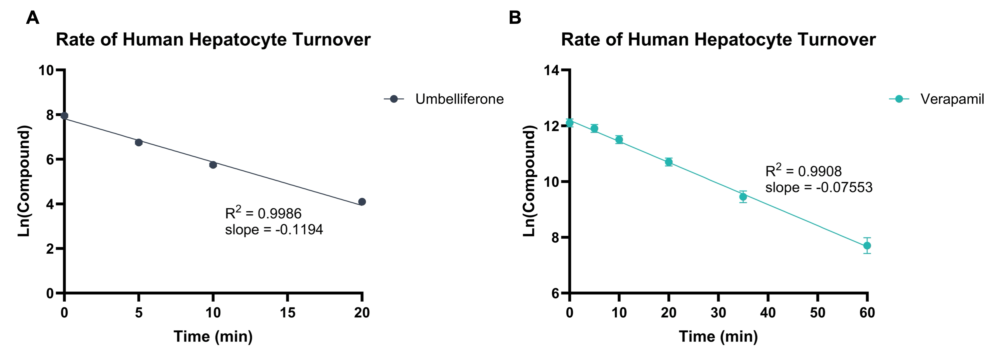 rate of human hepatocyte turnover
