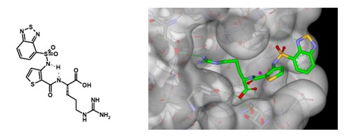 VEGF Case Study Figure 3