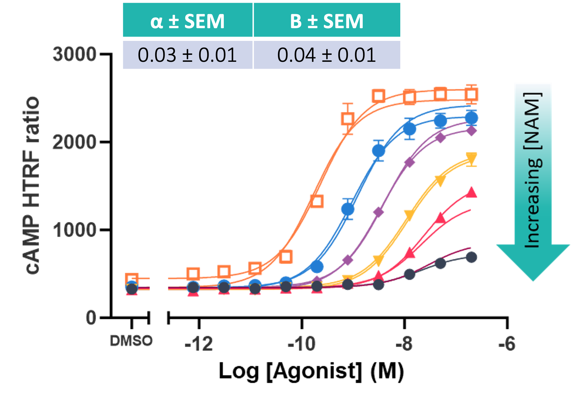 Example of a dose-shift assay for a negative allosteric modulator