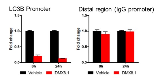 G9a Figure 4