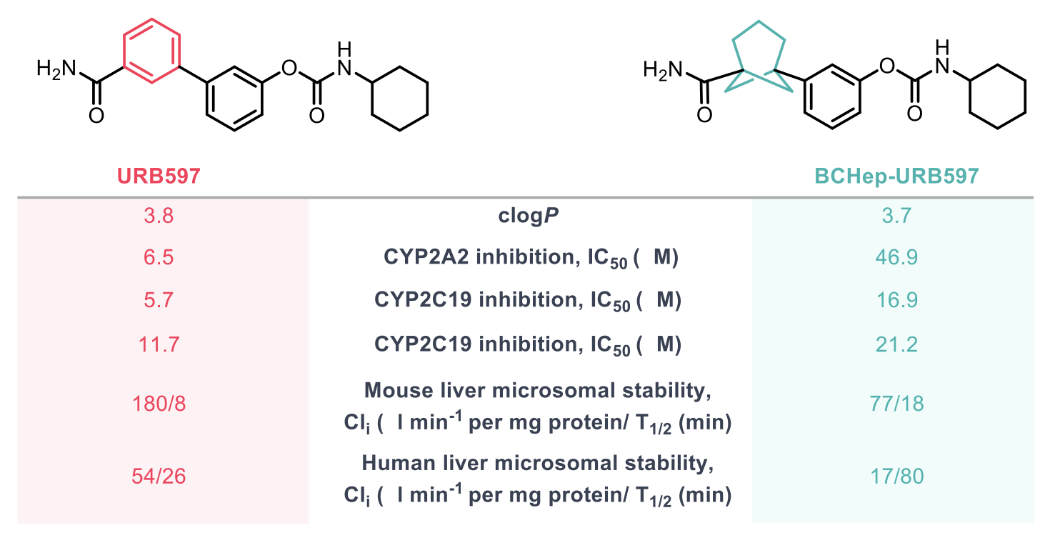 Improved pharmacokinetic and pharmacological properties of drug candidates