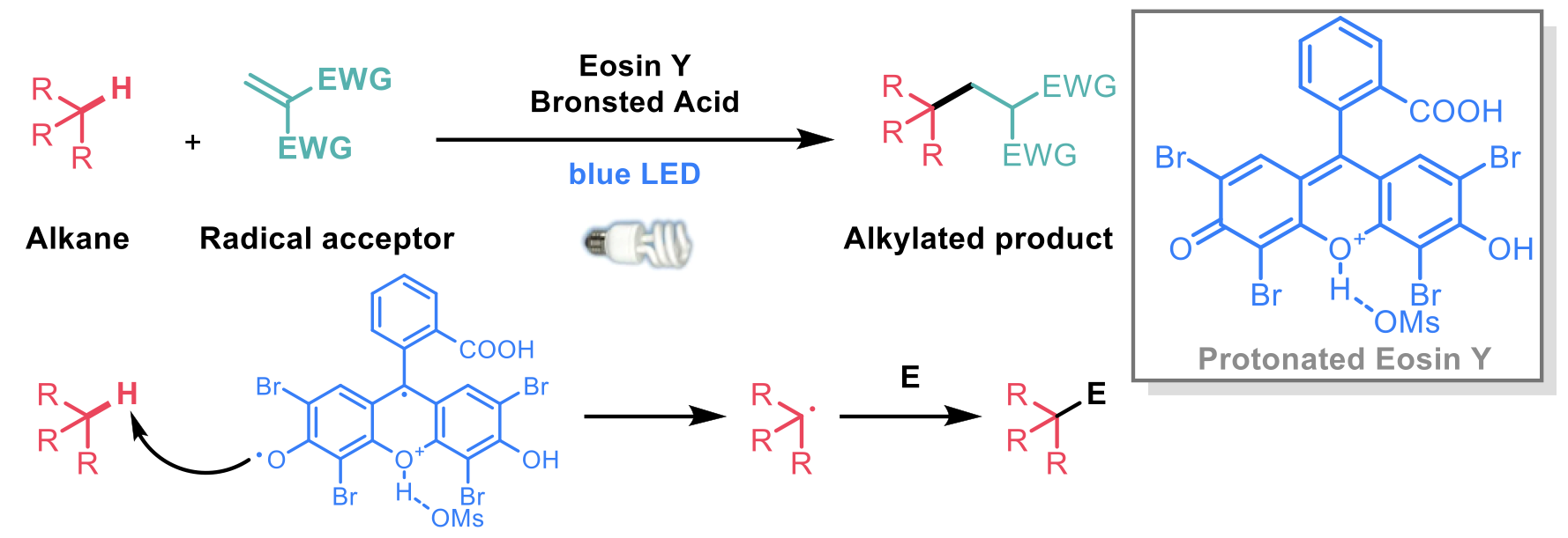 Brønsted acid-enhanced direct hydrogen atom transfer photocatalysis