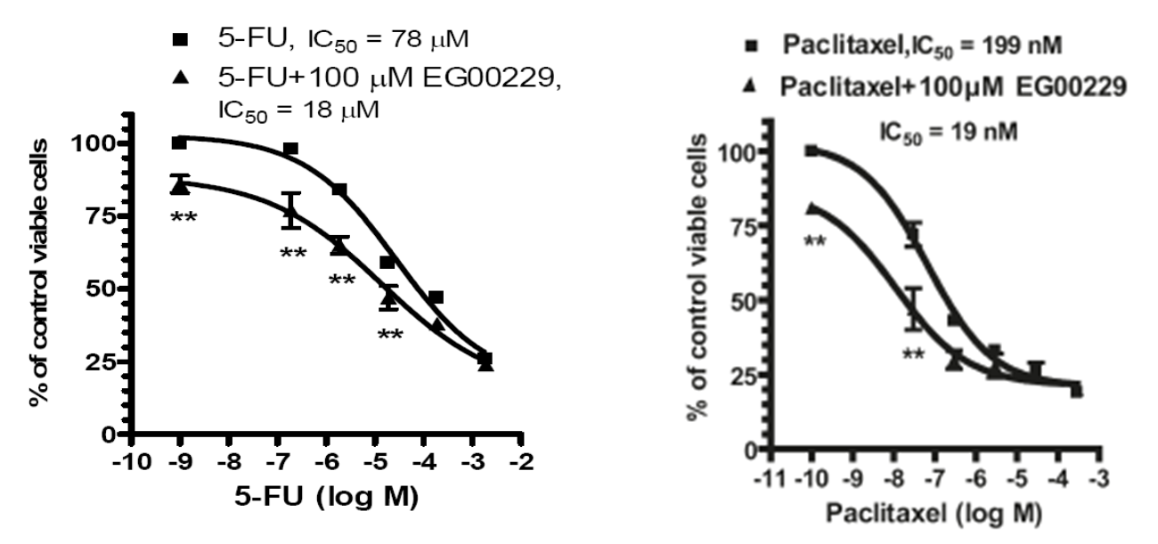 VEGF Case Study Figure 5