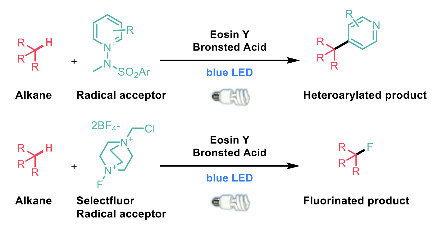transformation of unactivated C-H bonds using a Bronsted-acid-enhanced hydrogen-atom-transfer photocatalyst