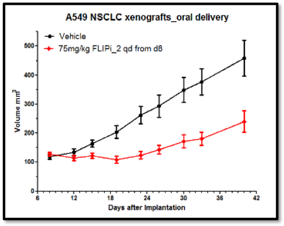 single agent efficacy in a murine xenograft study