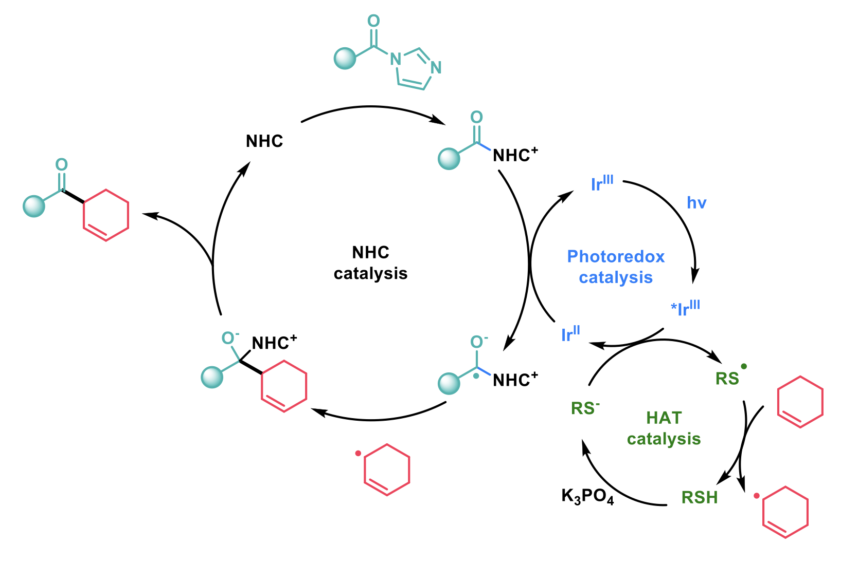 Radical coupling