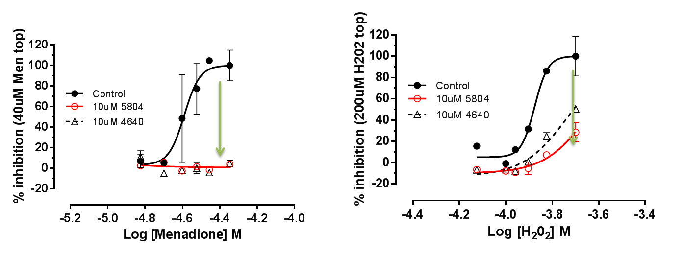 MAP4K4 Figure 8