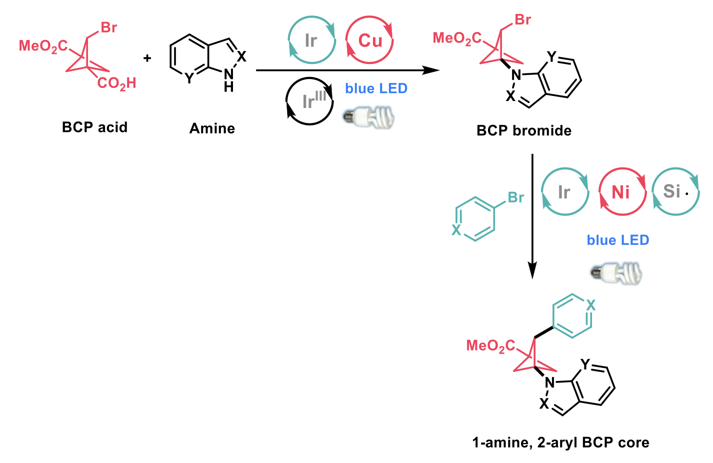 1-amine,2-aryl BCP