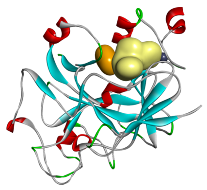 G9a Crystal Structure