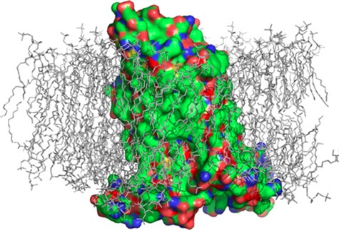 GPCR SMALP