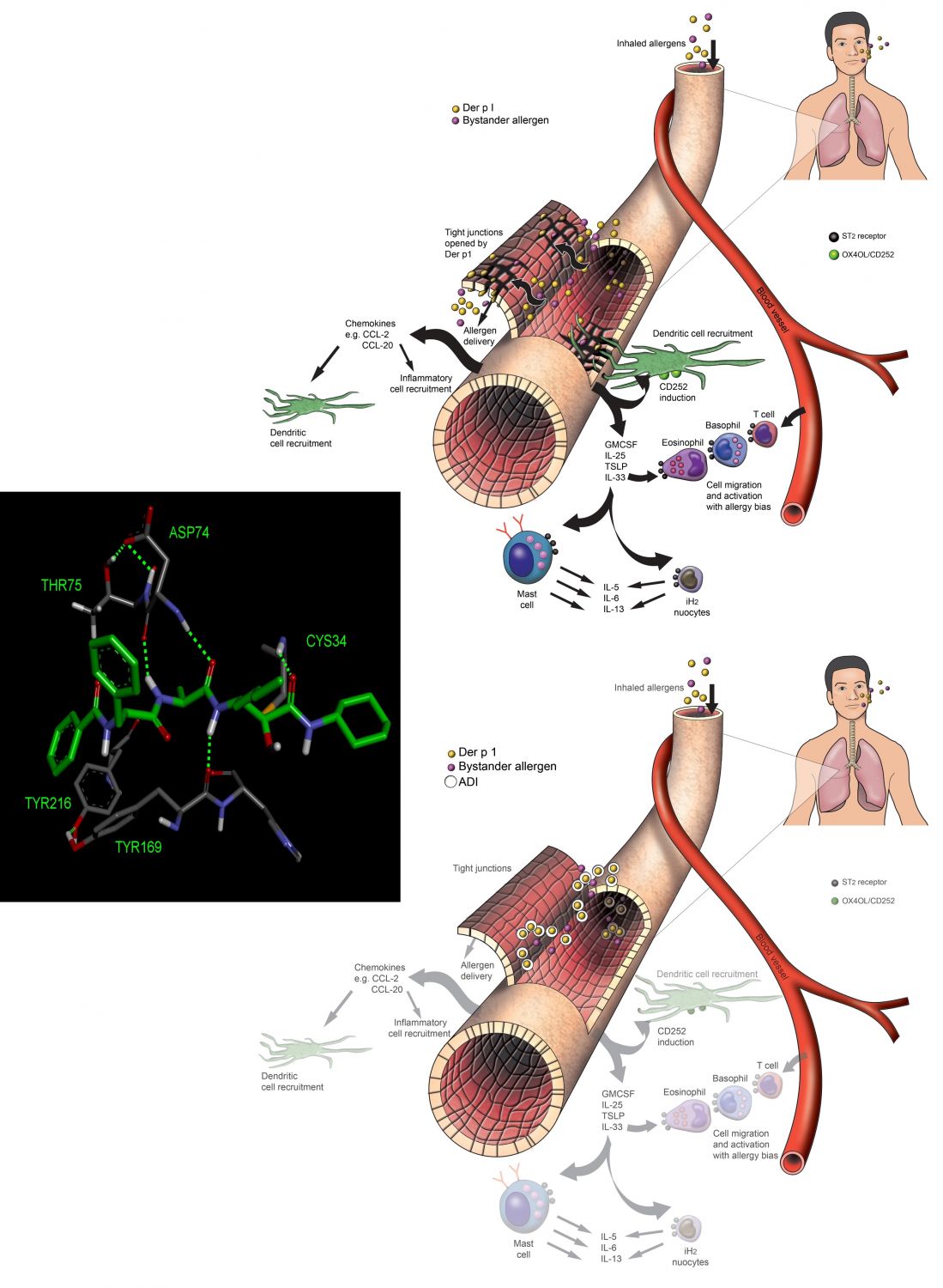 Article Figure 9