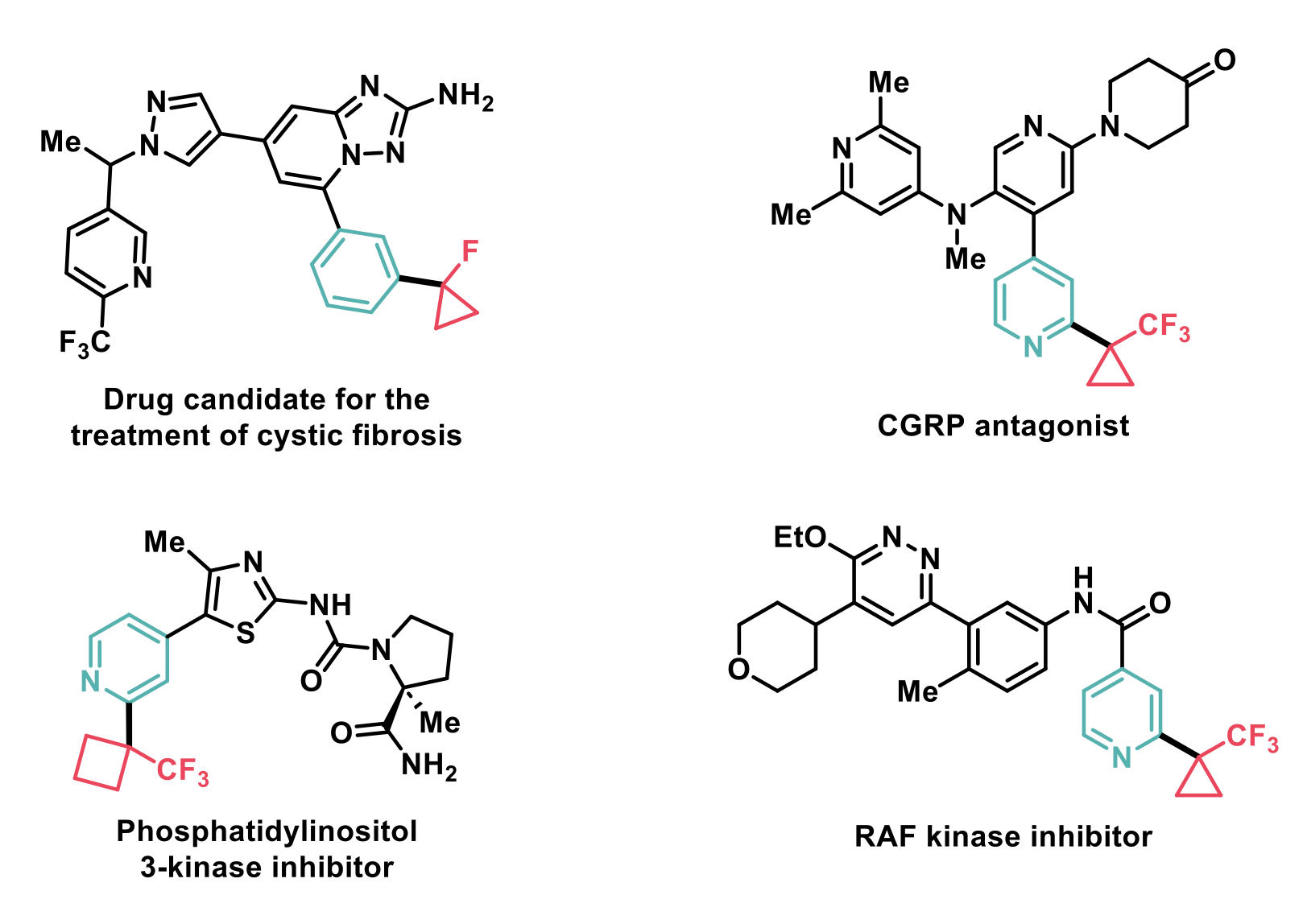 Methodology applied to real-life medicinal chemistry intermediates