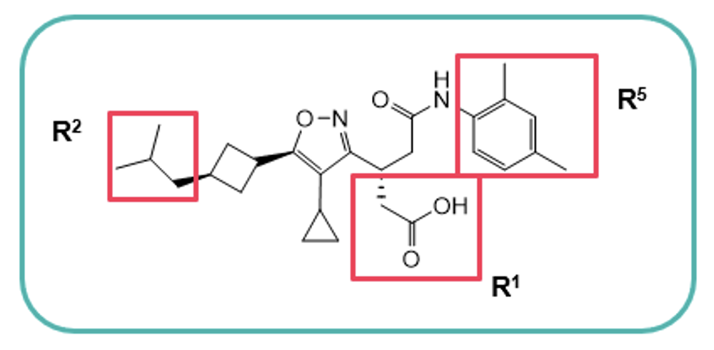 receptor-related Orphan Receptor gamma (RORγ)