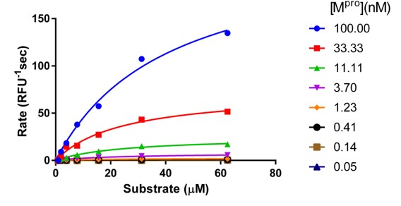 Proteases michaelis menten kinetics