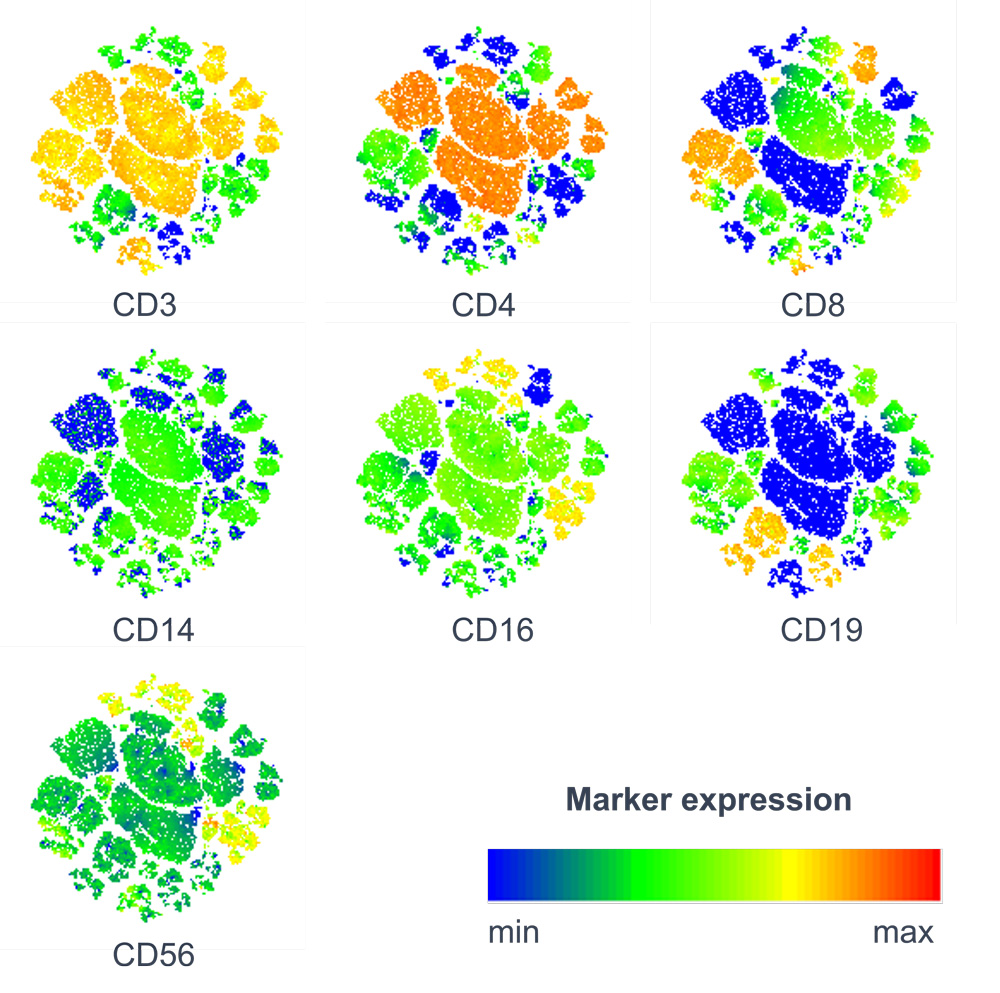 PBMCs were stained with an 8-parameter panel against cell lineage markers to identify different immunological subsets.