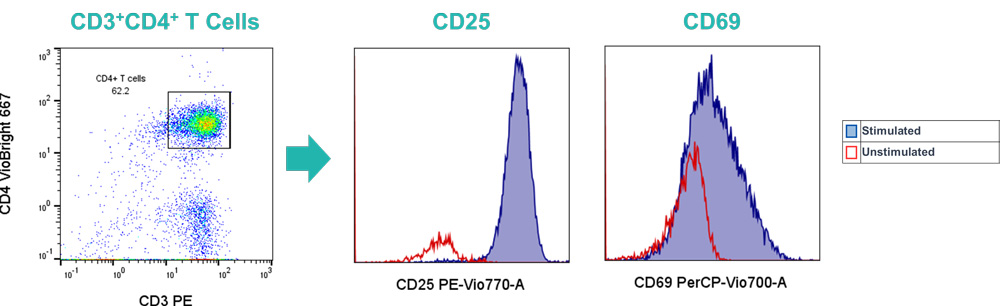 PBMCs were stimulated and stained with a multi-parameter staining panel for T cell identification using flow cytometry. 