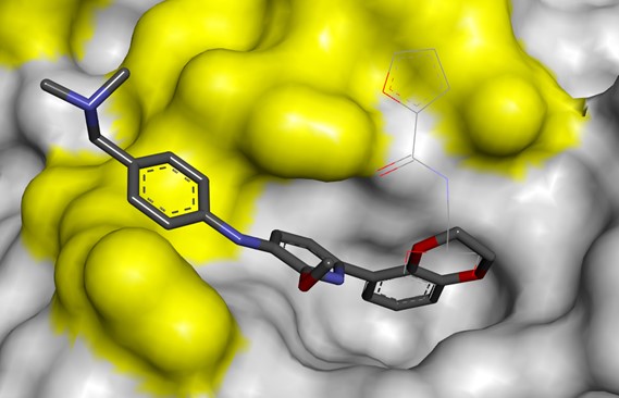 Protein Protein Interactions molecular structure