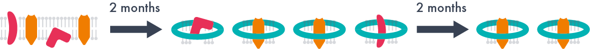 Neurotensin Figure 1