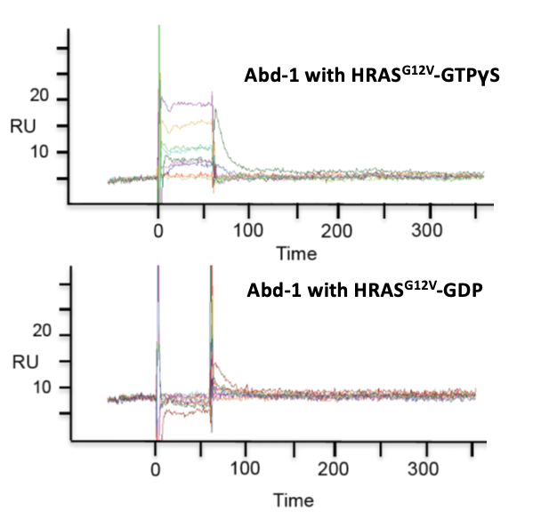 RAS Figure 2