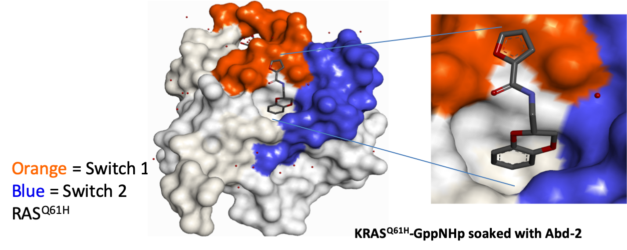 RAS Figure 4