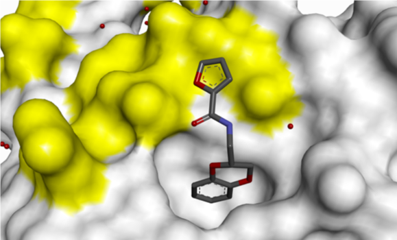 RAS Figure 6a