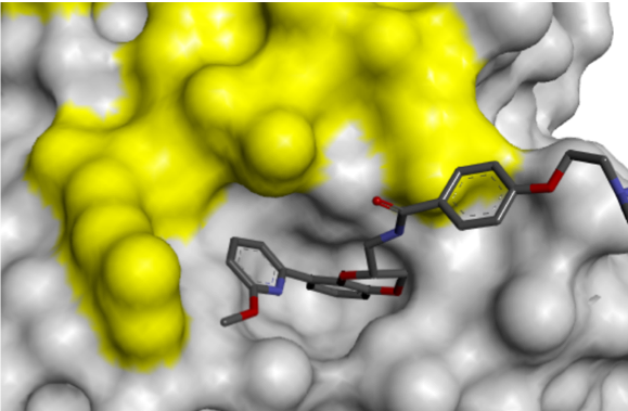 RAS Figure 6b