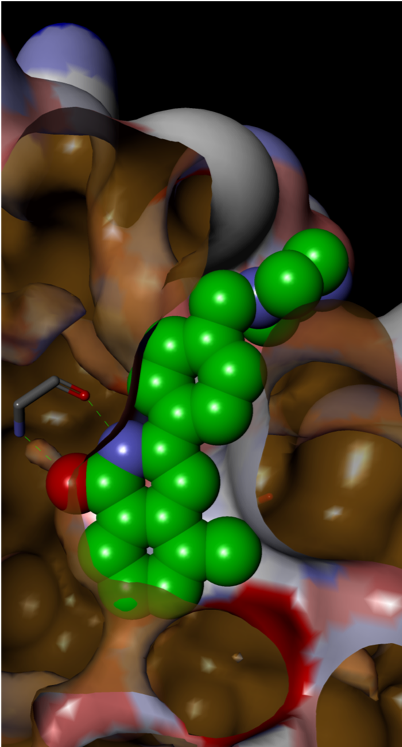 RAS Figure 8