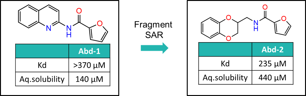 Figure 3: Abd-2 was developed which had increased RAS-binding affinity and aqueous solubility