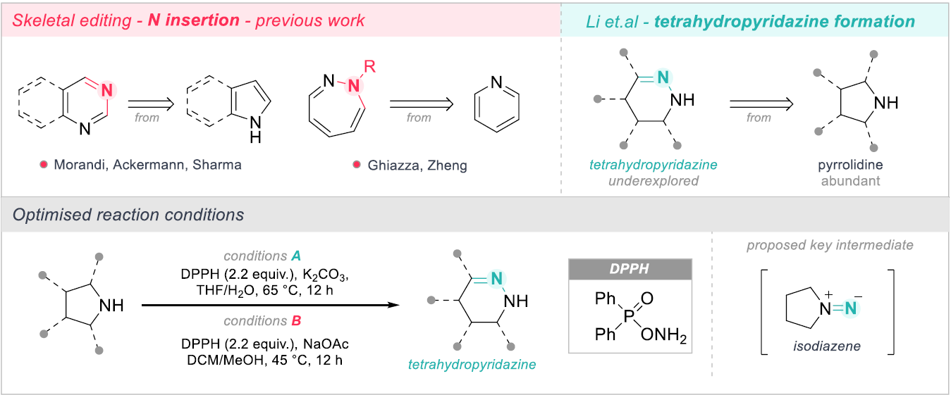 scheme 1: Transformation of pyrrolidines to tetrahydropyridazines.