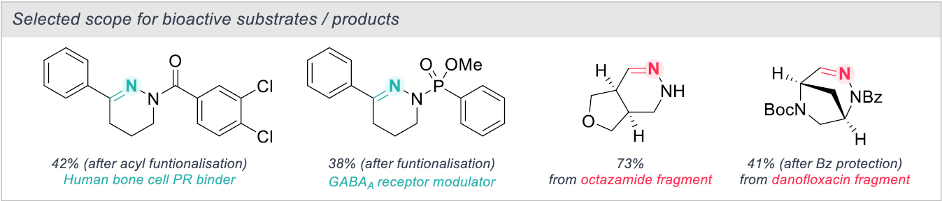 scheme 2: Substrate scope for bioactive substances/products