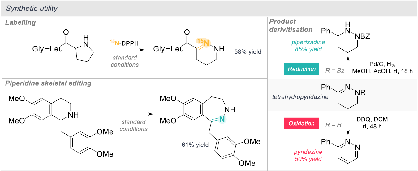 Scheme 3: Skeletal editing and labelling.