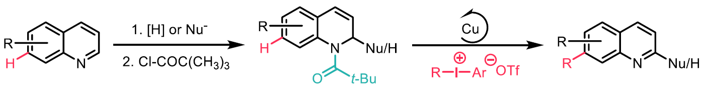 Scheme 4: N-acyl as a traceless directing group for the C-H functionalization of quinolines at C7 position.