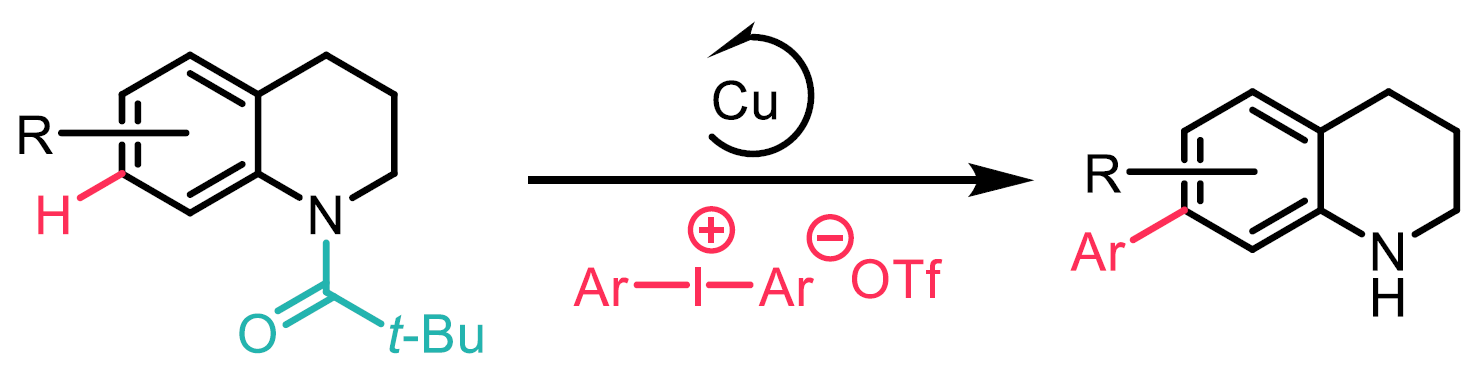 Scheme 5: C7-H arylation of 1,2,3,4-tetrahydroquinolines with iodonium triflate using a traceless directing strategy.