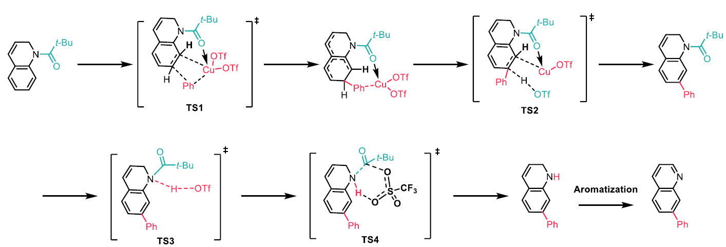 Scheme 6: Proposed mechanism for the C7-H arylation of quinolines based on DFT calculations