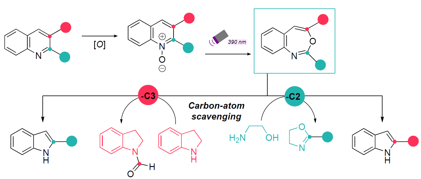 Regiodivergent carbon deletion by carbon-atom scavengers.