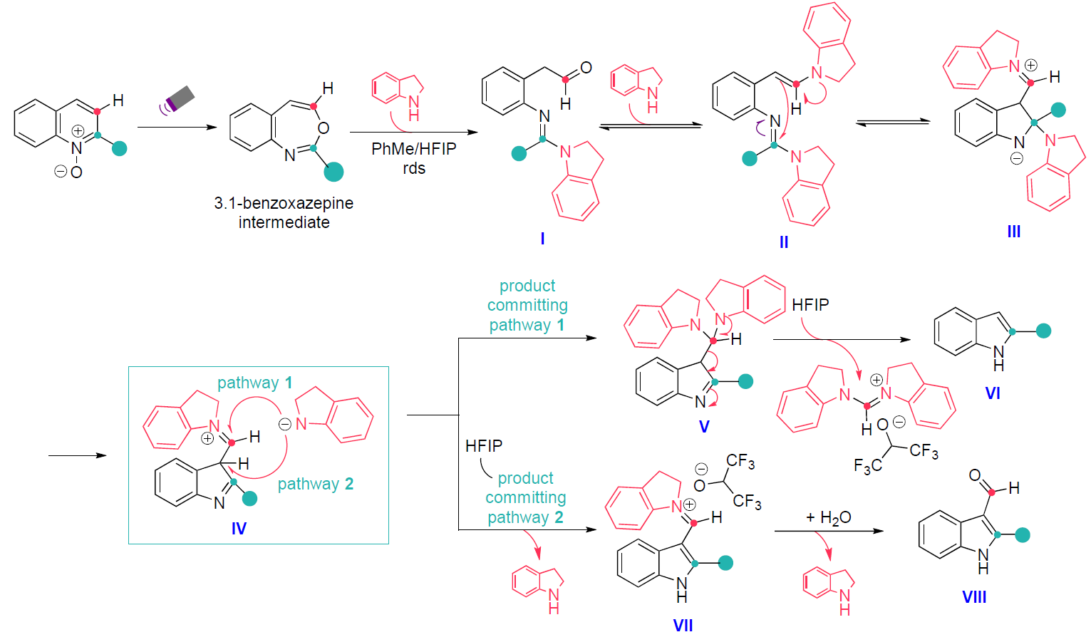 Mechanism of C3-selective carbon atom deletion.