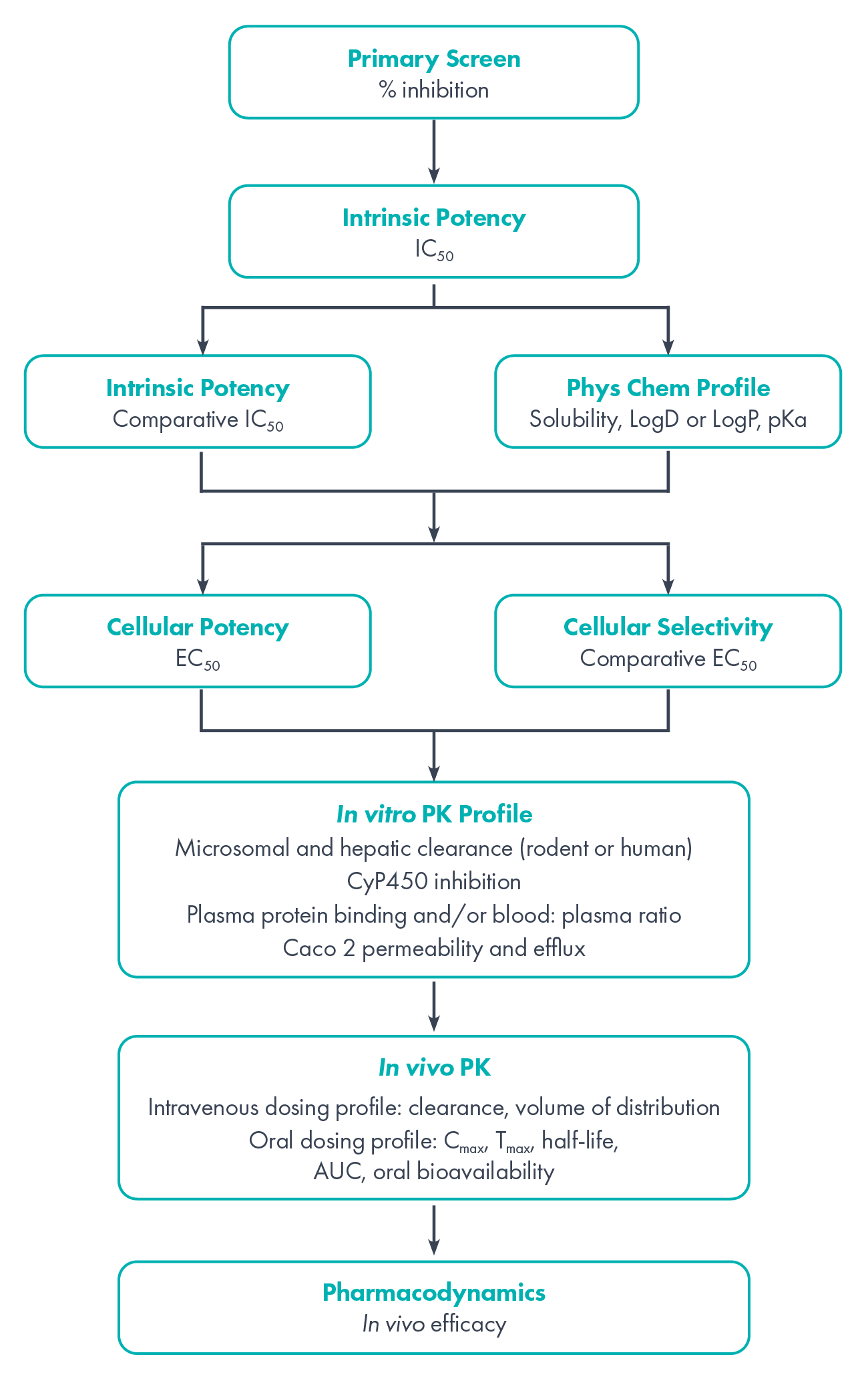 Fragment and compound Screening cascade