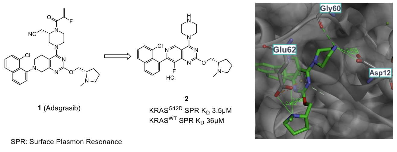 The development of MRTX1133 